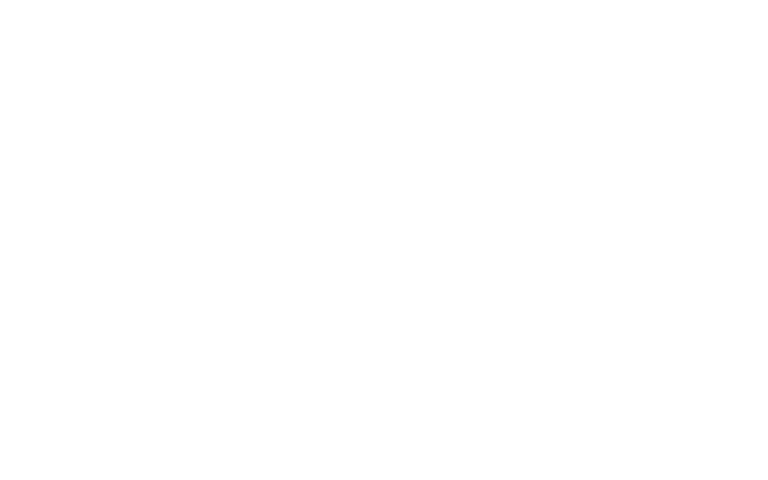brands-ramaudio